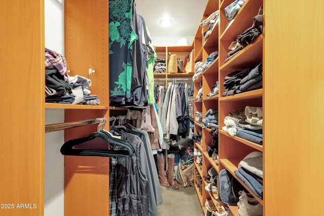 spacious closet featuring carpet flooring