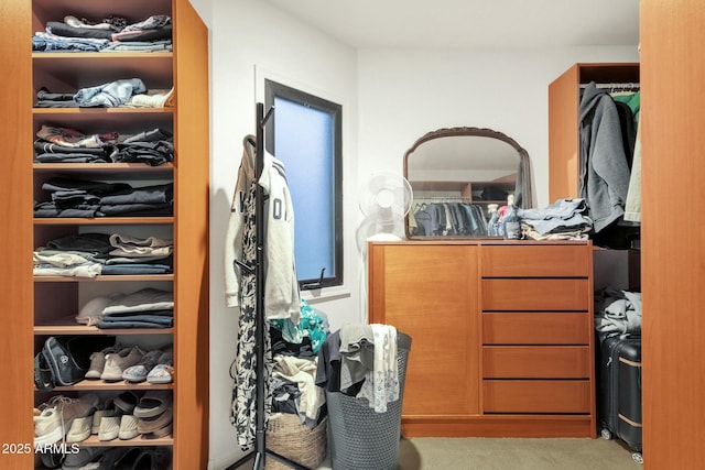 spacious closet with carpet