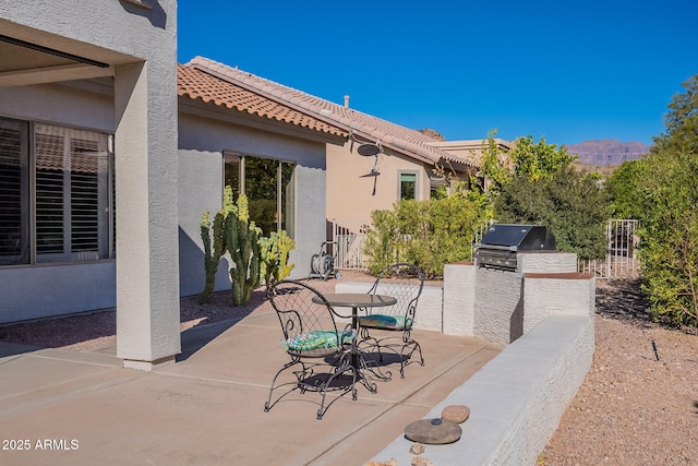 view of patio / terrace featuring area for grilling and grilling area