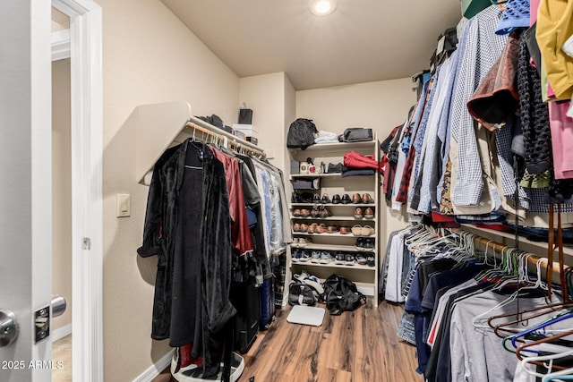 spacious closet featuring wood finished floors