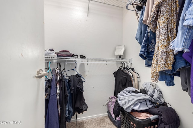 spacious closet featuring carpet floors