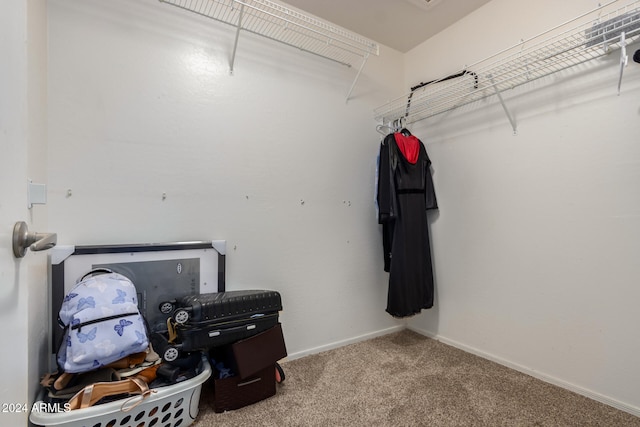 spacious closet featuring light carpet