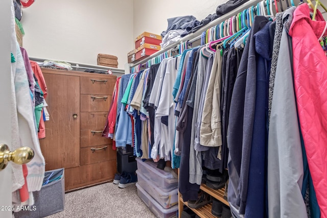 839 E Leo Pl, Chandler, AZ 85249 - walk in closet featuring carpet floors
