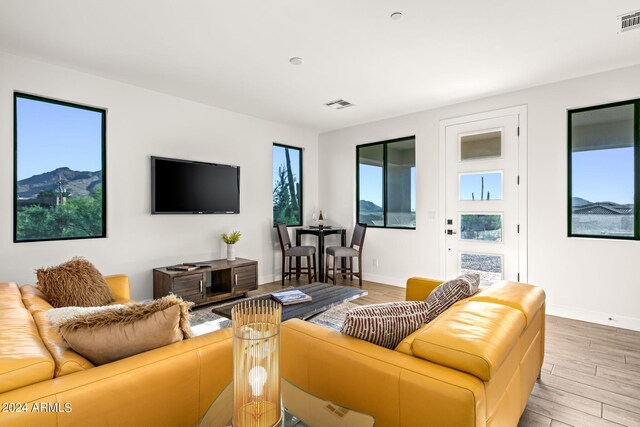 living room featuring wood-type flooring