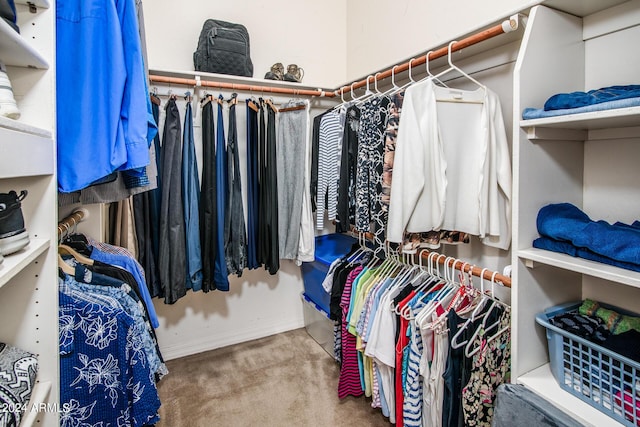 walk in closet featuring carpet flooring