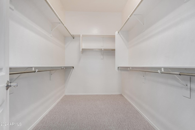 spacious closet with light carpet