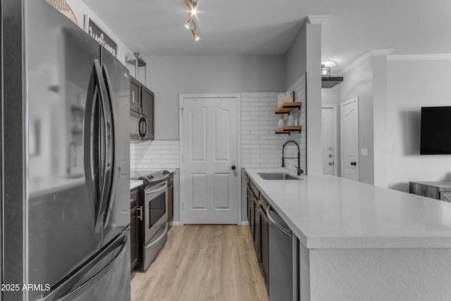 kitchen featuring sink, ornamental molding, appliances with stainless steel finishes, tasteful backsplash, and light hardwood / wood-style floors