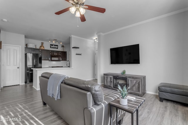 living room featuring ceiling fan, crown molding, and light wood-type flooring