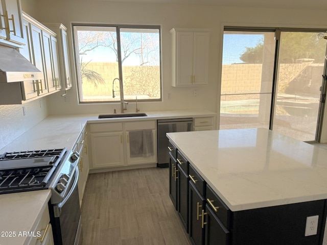 kitchen featuring dark cabinets, stainless steel appliances, a sink, white cabinetry, and a healthy amount of sunlight