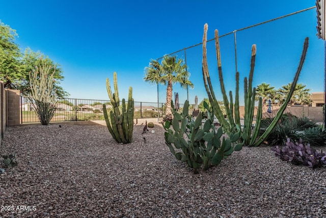 582 W Stirrup Ln, San Tan Valley, AZ 85143 - view of yard with fence