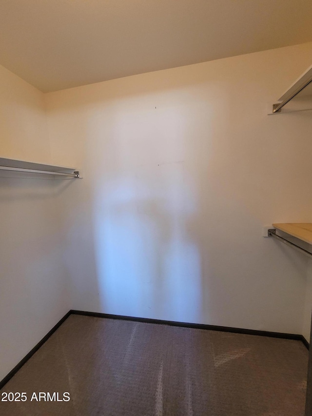 spacious closet featuring carpet flooring