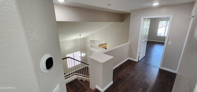 corridor with dark hardwood / wood-style flooring and lofted ceiling