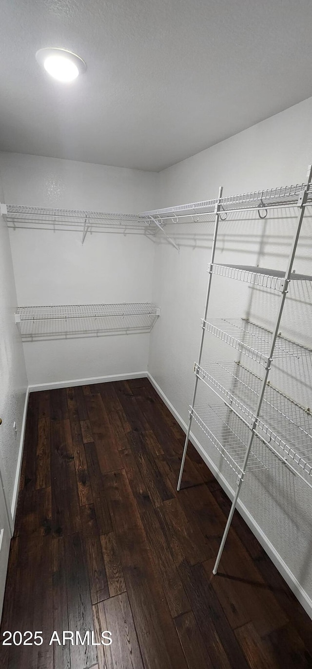 spacious closet featuring hardwood / wood-style floors