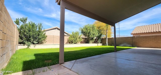 view of yard with a patio area