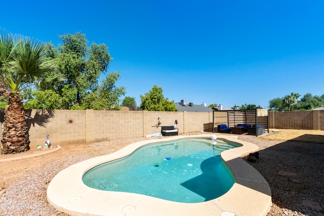 view of pool with a patio