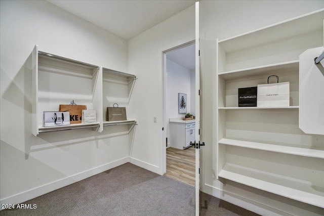 spacious closet with carpet flooring