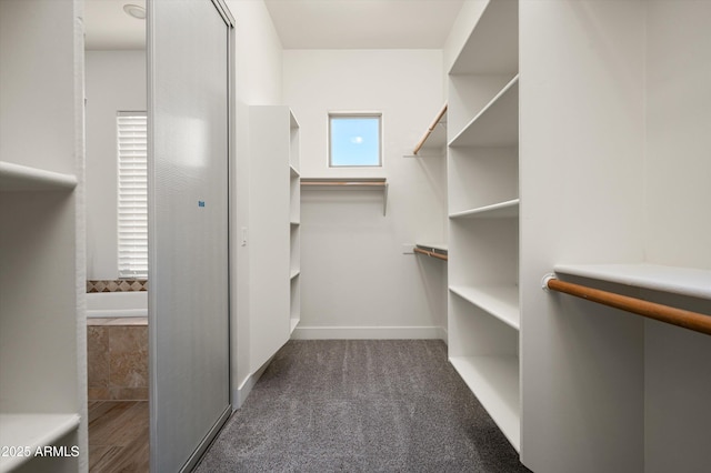 3946 N Pinnacle Hills Cir, Mesa, AZ 85207 - spacious closet with carpet