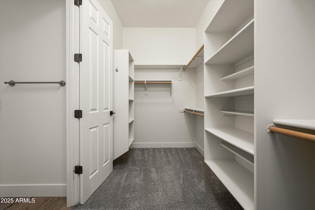 3946 N Pinnacle Hills Cir, Mesa, AZ 85207 - walk in closet with dark colored carpet