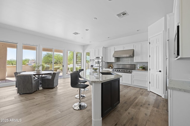3946 N Pinnacle Hills Cir, Mesa, AZ 85207 - kitchen with under cabinet range hood, stainless steel appliances, light wood-style floors, white cabinets, and a breakfast bar