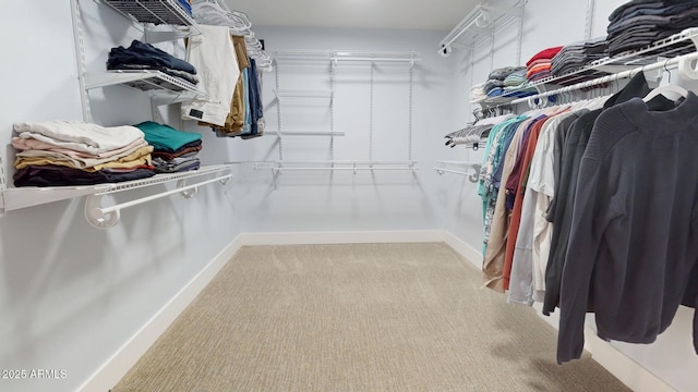 walk in closet featuring light carpet