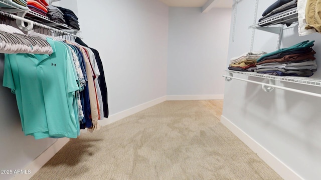 spacious closet featuring light colored carpet