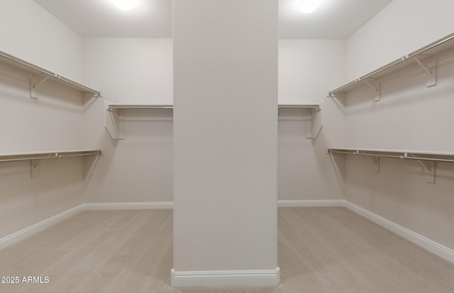 26696 W Siesta Ln, Buckeye, AZ 85396 - spacious closet with carpet flooring