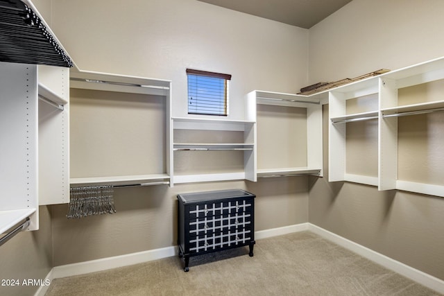 spacious closet with light colored carpet