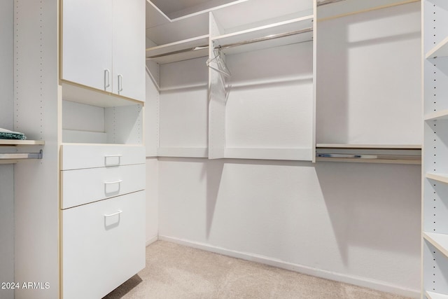 spacious closet with light colored carpet