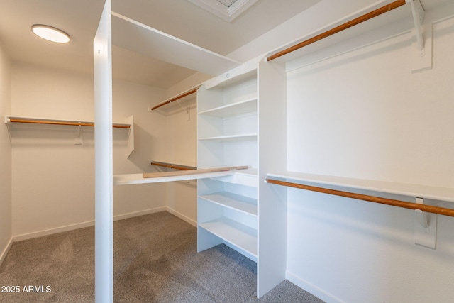 3837 E Windsong Dr, Phoenix, AZ 85048 - walk in closet featuring carpet flooring