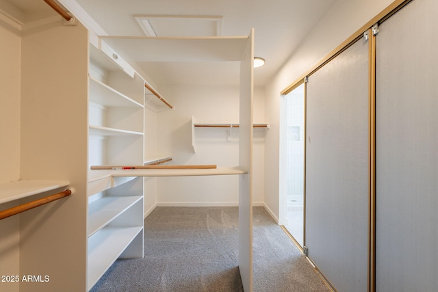 3837 E Windsong Dr, Phoenix, AZ 85048 - spacious closet with carpet flooring