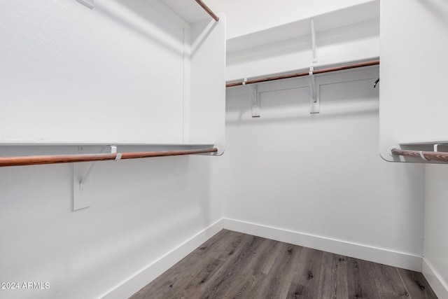 spacious closet with hardwood / wood-style floors