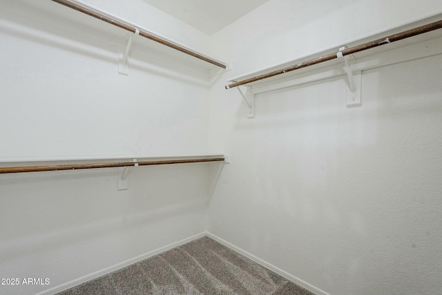 spacious closet with carpet