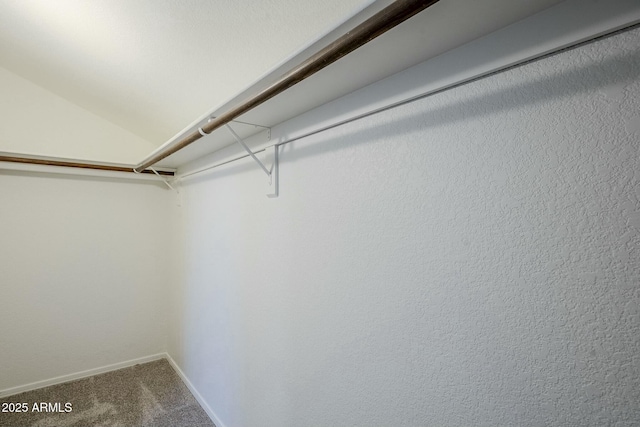 walk in closet with carpet floors