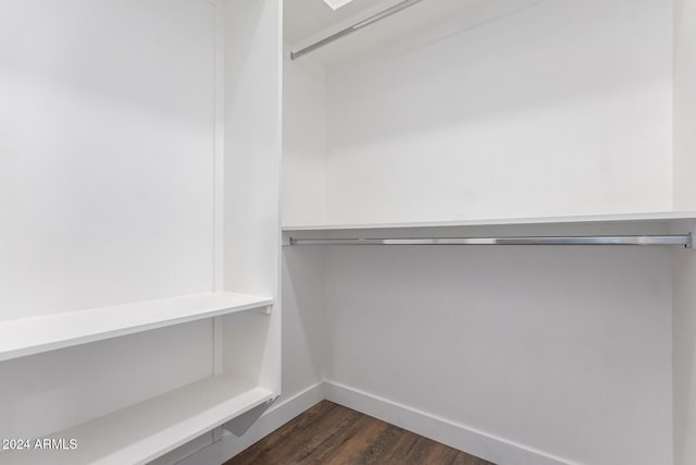 spacious closet featuring dark wood-type flooring