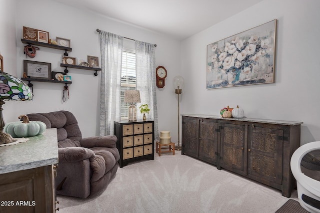 sitting room featuring light carpet