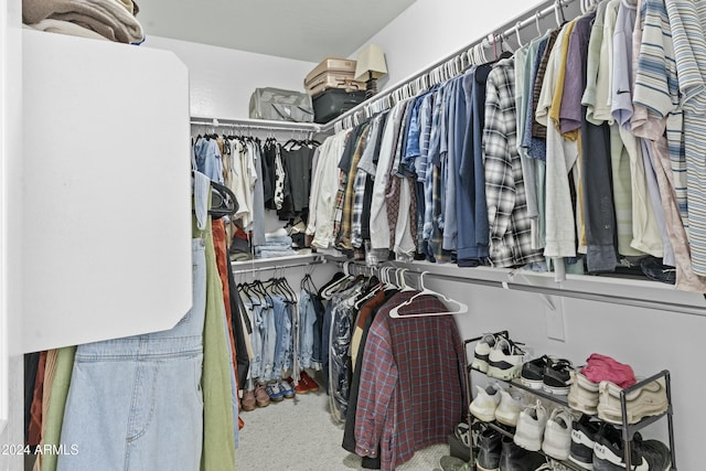 spacious closet with carpet floors