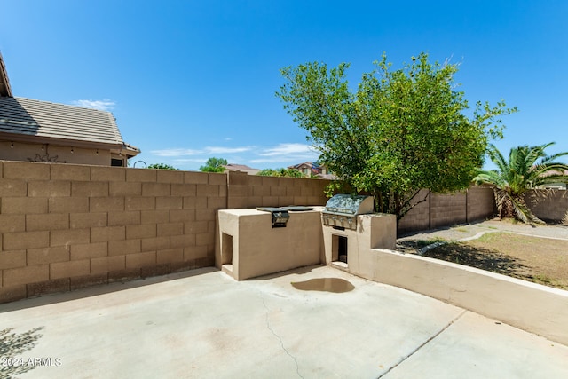 view of patio with grilling area and exterior kitchen