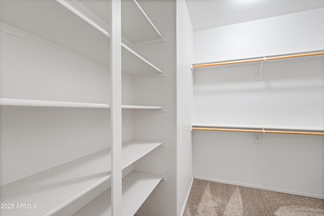 12727 W Lowden Rd, Peoria, AZ 85383 - walk in closet with carpet flooring