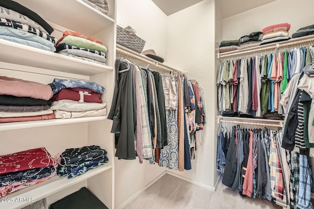 spacious closet with wood finished floors