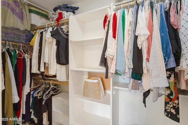 view of spacious closet