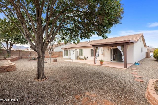 rear view of house featuring a patio, a fenced backyard, and stucco siding