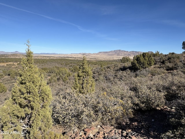 11875 Bogles Ranch Rd Unit 54, Wikieup AZ, 85360 land for sale