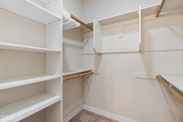 spacious closet featuring carpet