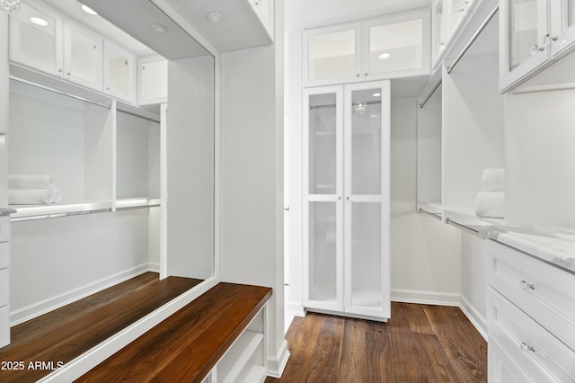 spacious closet featuring dark wood-type flooring