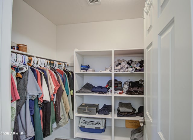 view of walk in closet