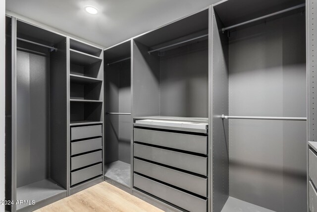 spacious closet with hardwood / wood-style flooring