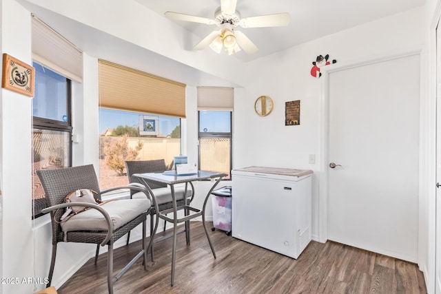 dining space featuring a ceiling fan and wood finished floors