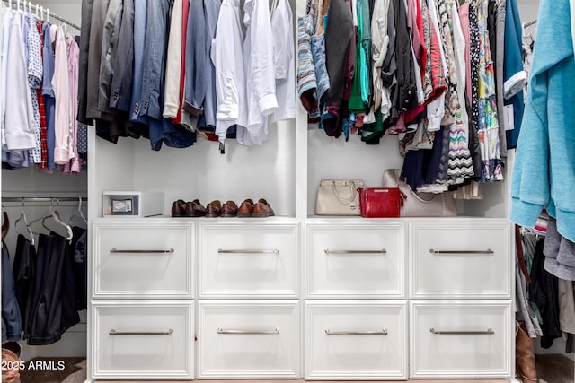 view of spacious closet