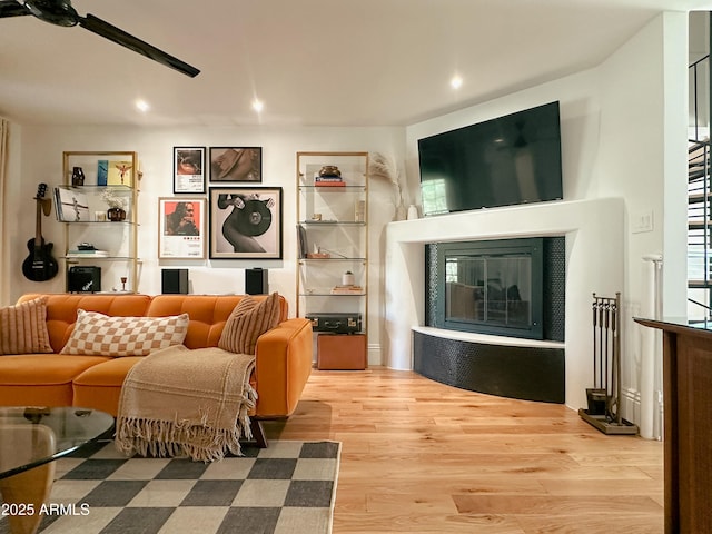 living room featuring light hardwood / wood-style flooring