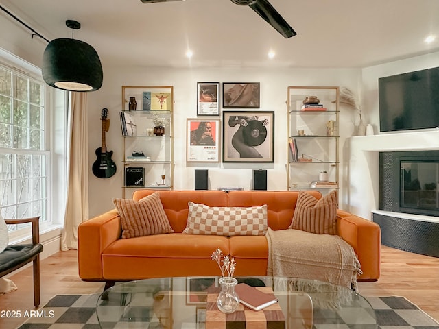 living room featuring light hardwood / wood-style floors